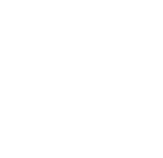 Ospreys